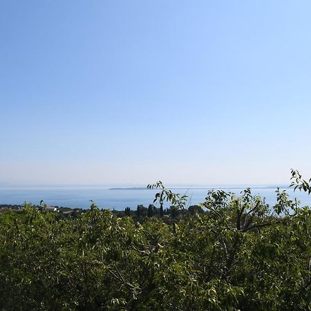 Alice'S Nest-Lake View House Padenghe sul Garda Eksteriør bilde
